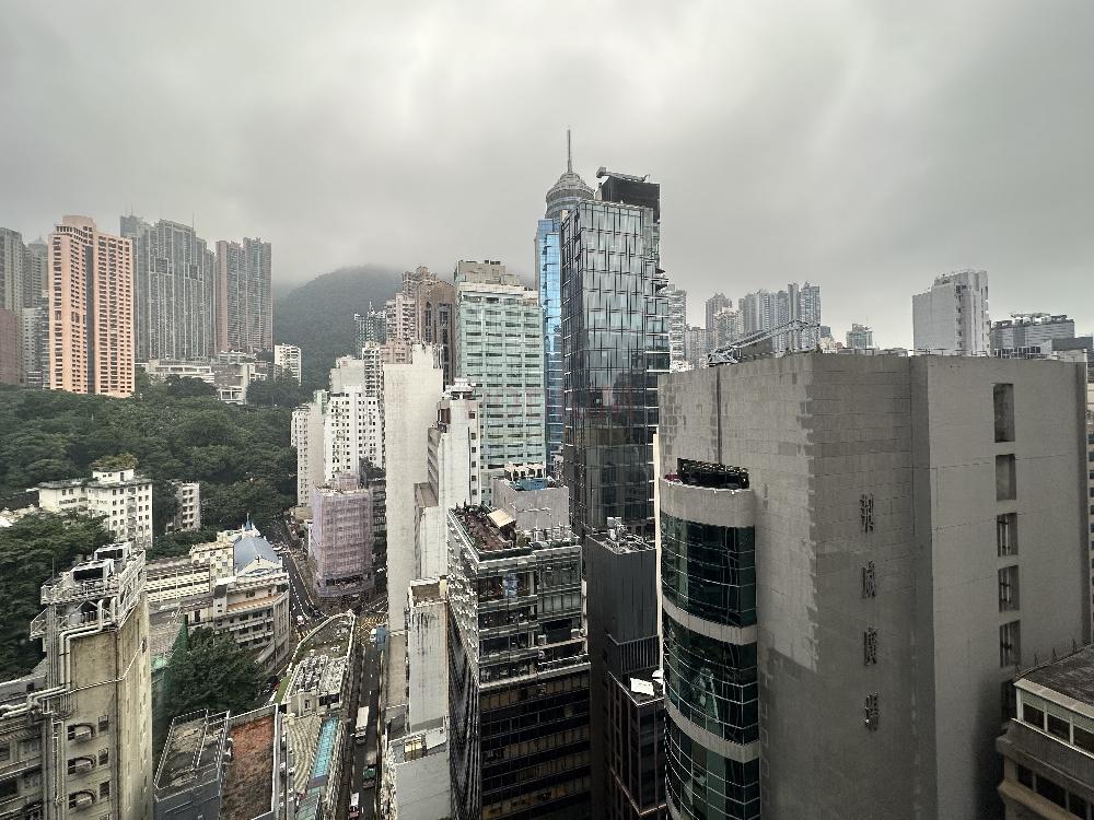 8 Wyndham Street - IMG_4352.jpg                                                                                        