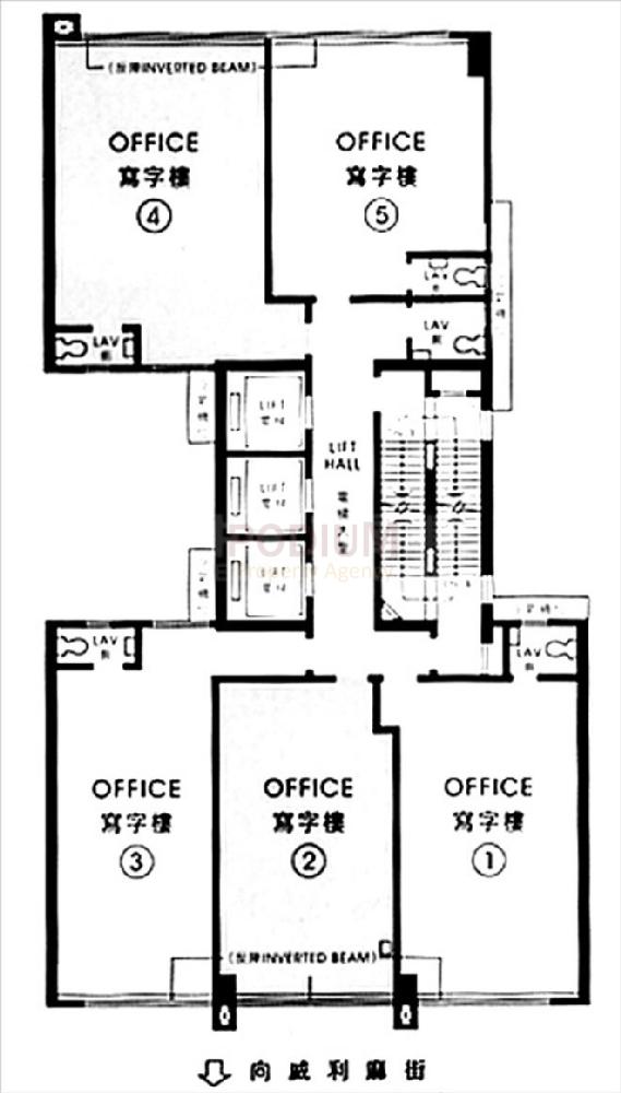 6 Wilmer Street - 6 Wilmer Street Floor Plan.jpg                                                                      